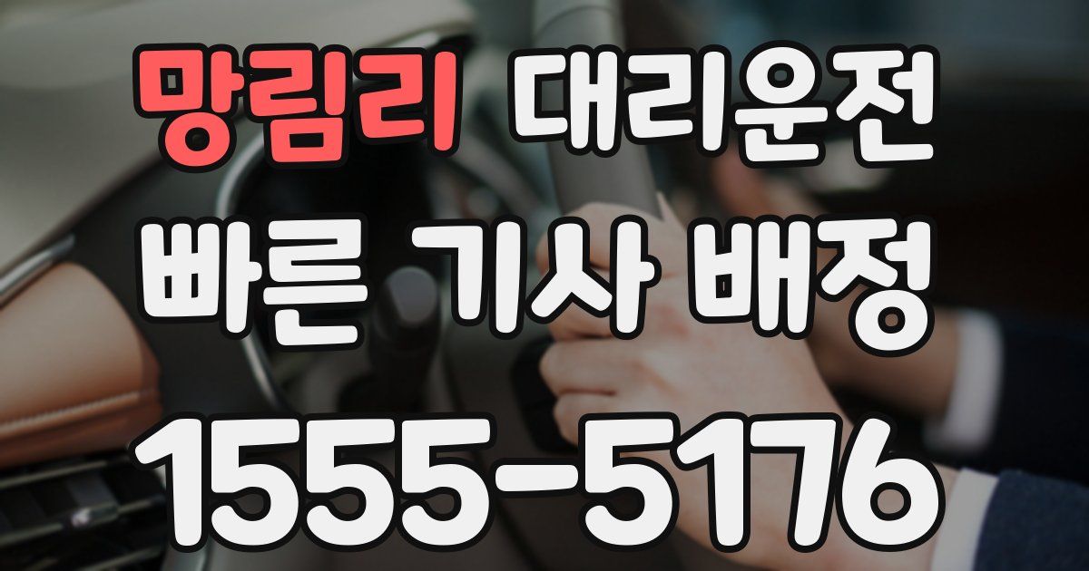 일일대리기사
