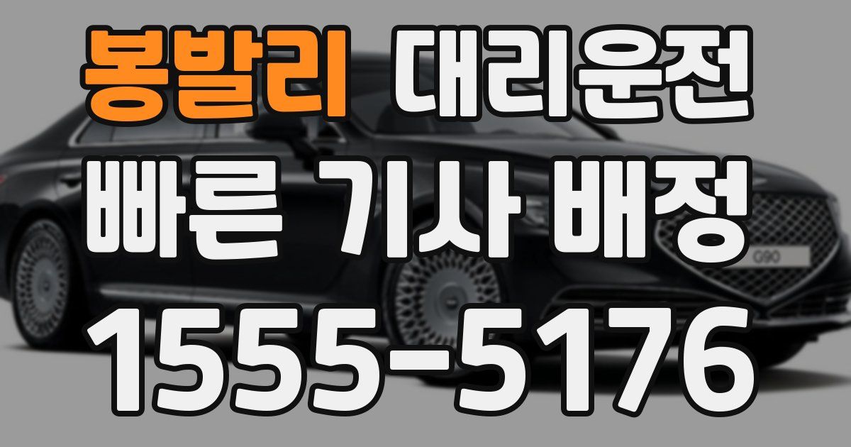 일일대리기사
