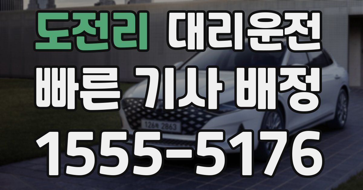 일일대리기사