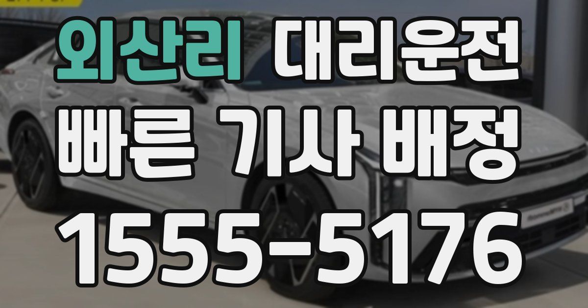 일일대리기사