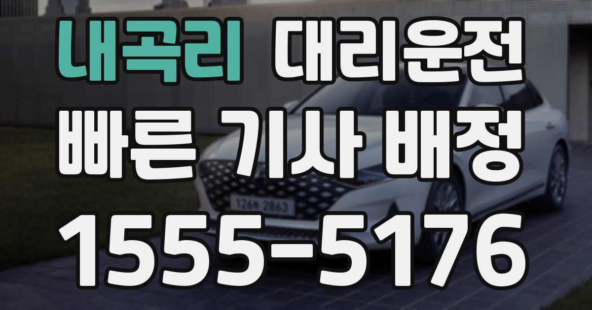 일일대리기사
