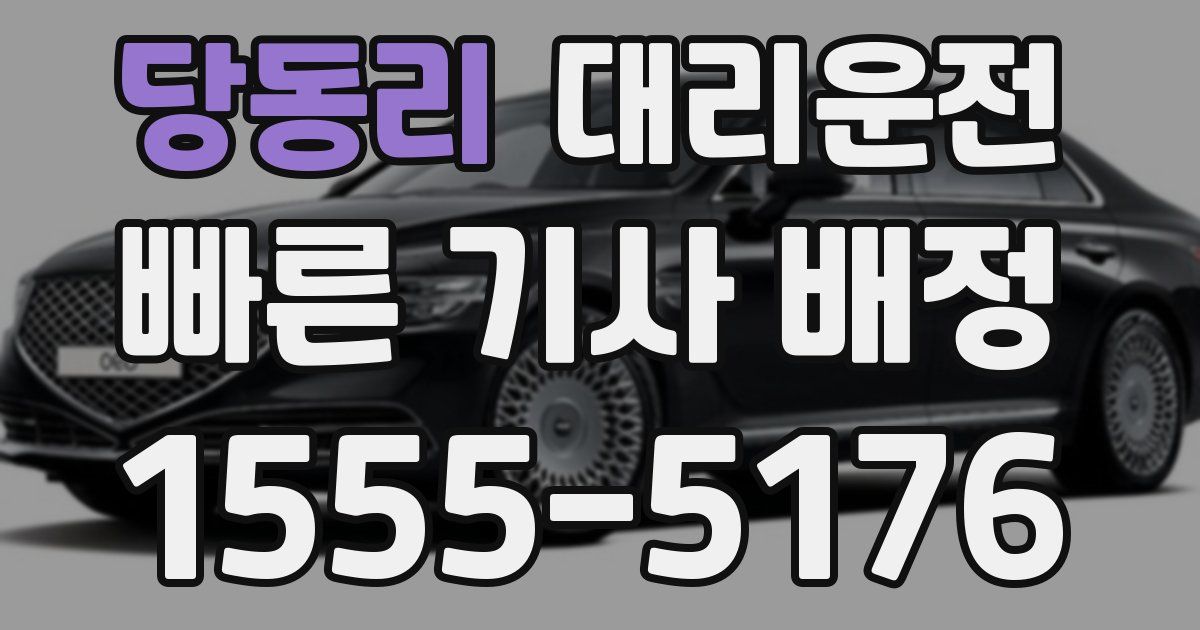 일일대리기사