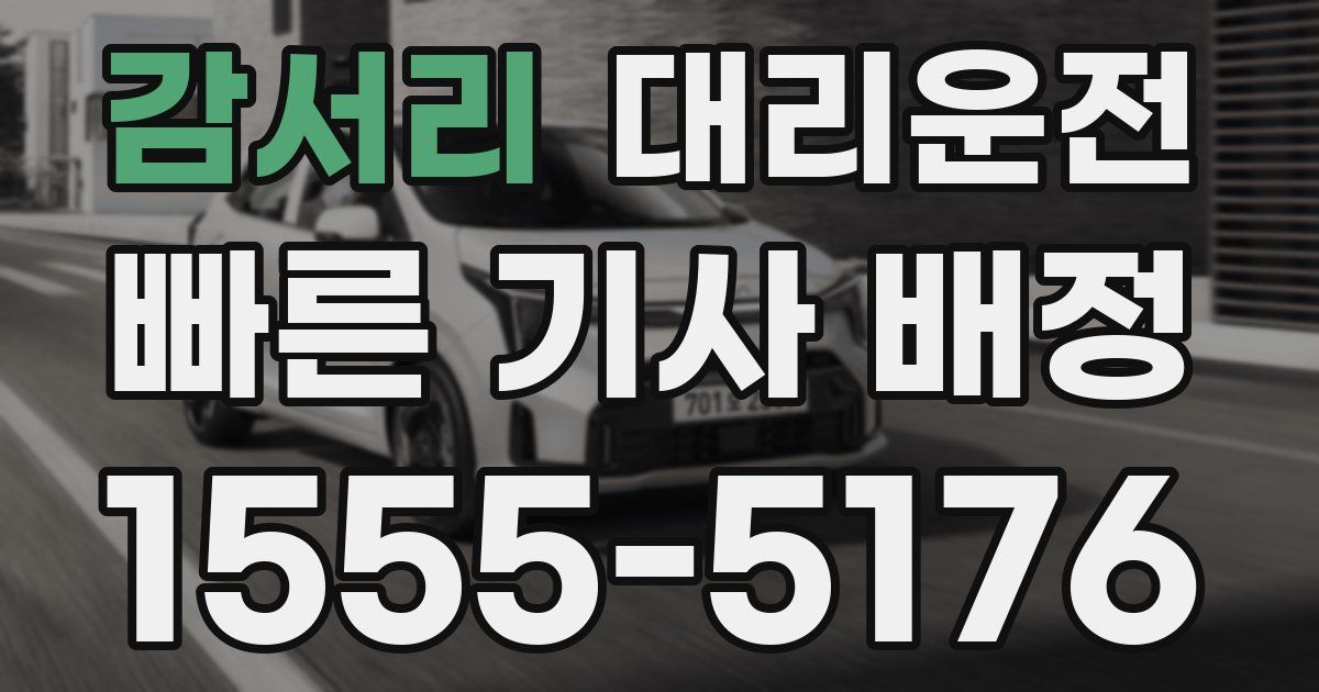 일일대리기사