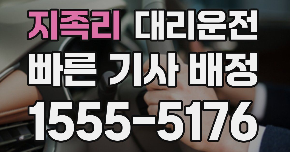 일일대리기사