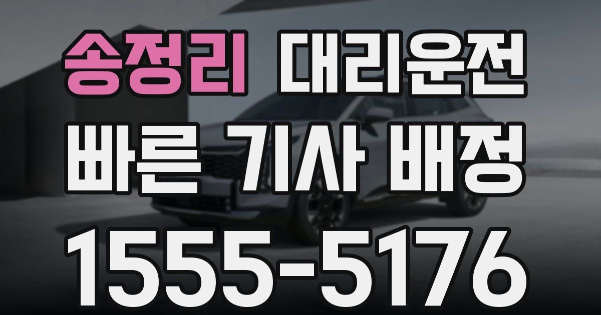 일일대리기사