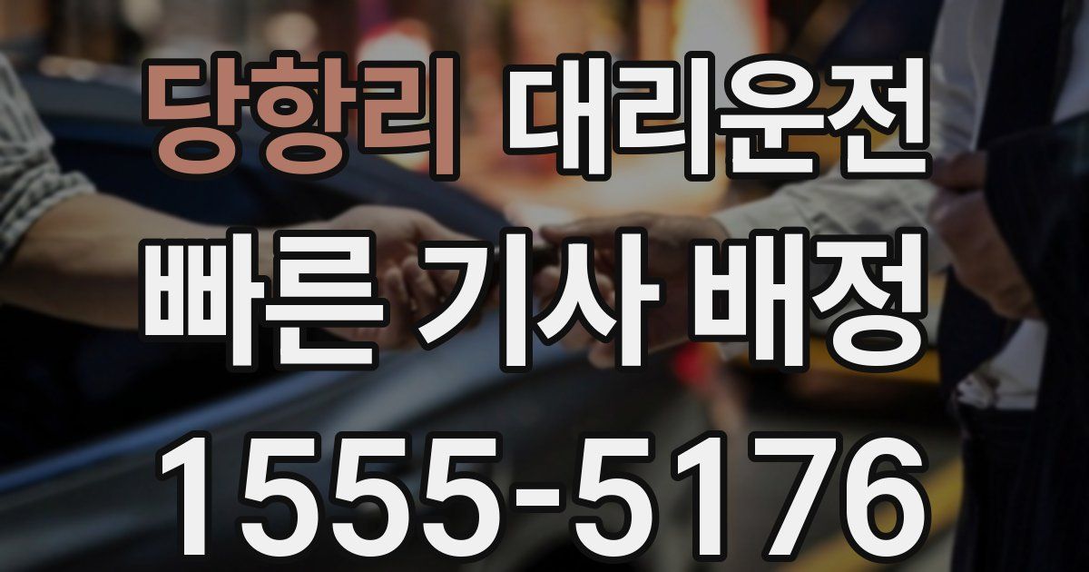 일일대리기사