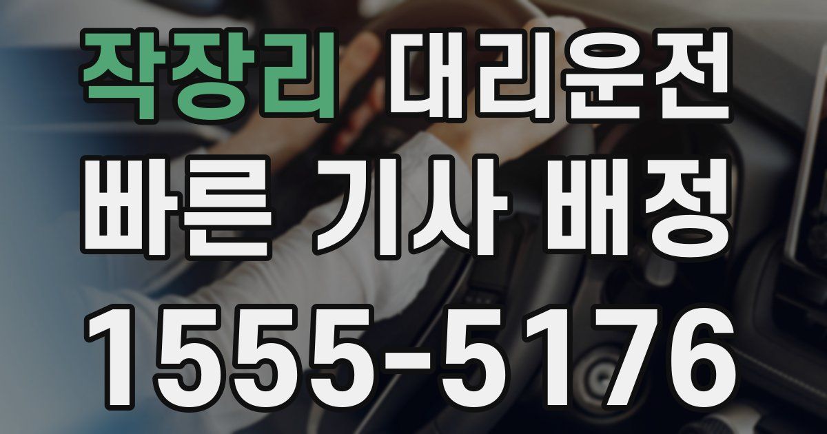 일일대리기사