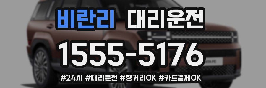 비란리 대리운전
