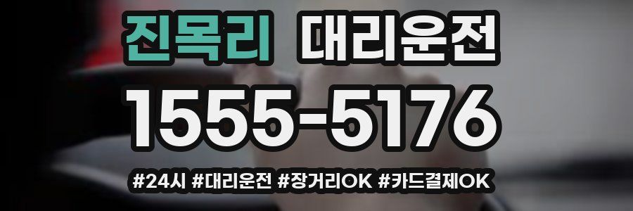 진목리 대리운전