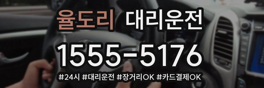 율도리 대리운전