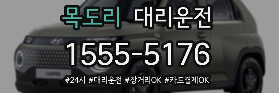 목도리 대리운전