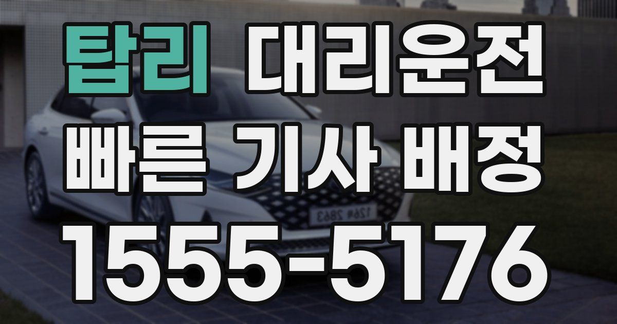 일일대리기사