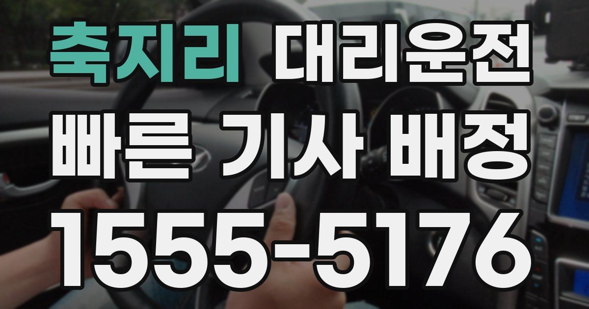 일일대리기사