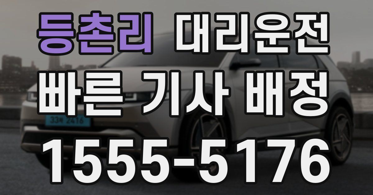 일일대리기사