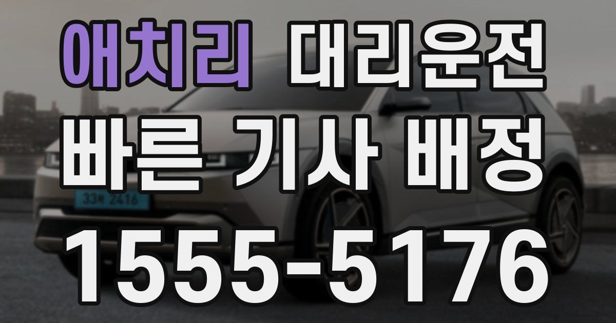 일일대리기사
