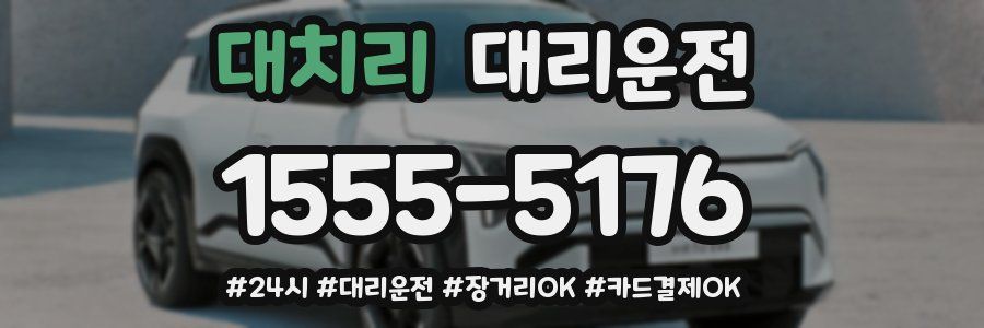 대치리 대리운전