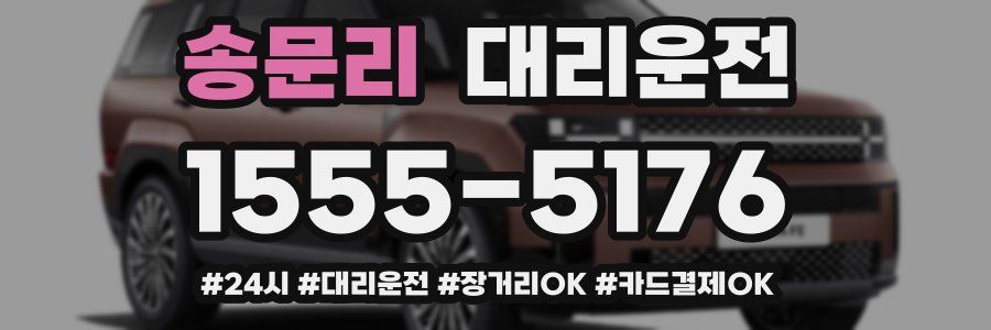 송문리 대리운전