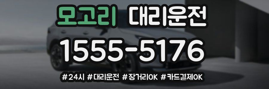 모고리 대리운전