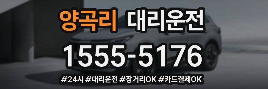 양곡리 대리운전
