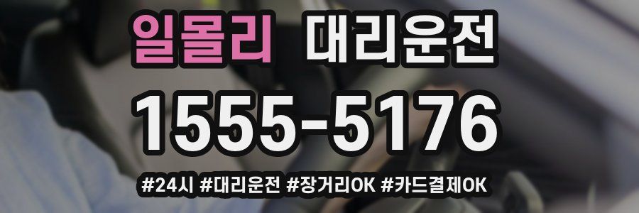 일몰리 대리운전