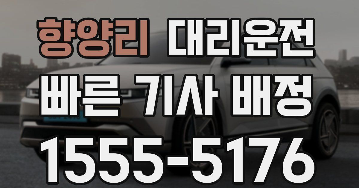 일일대리기사