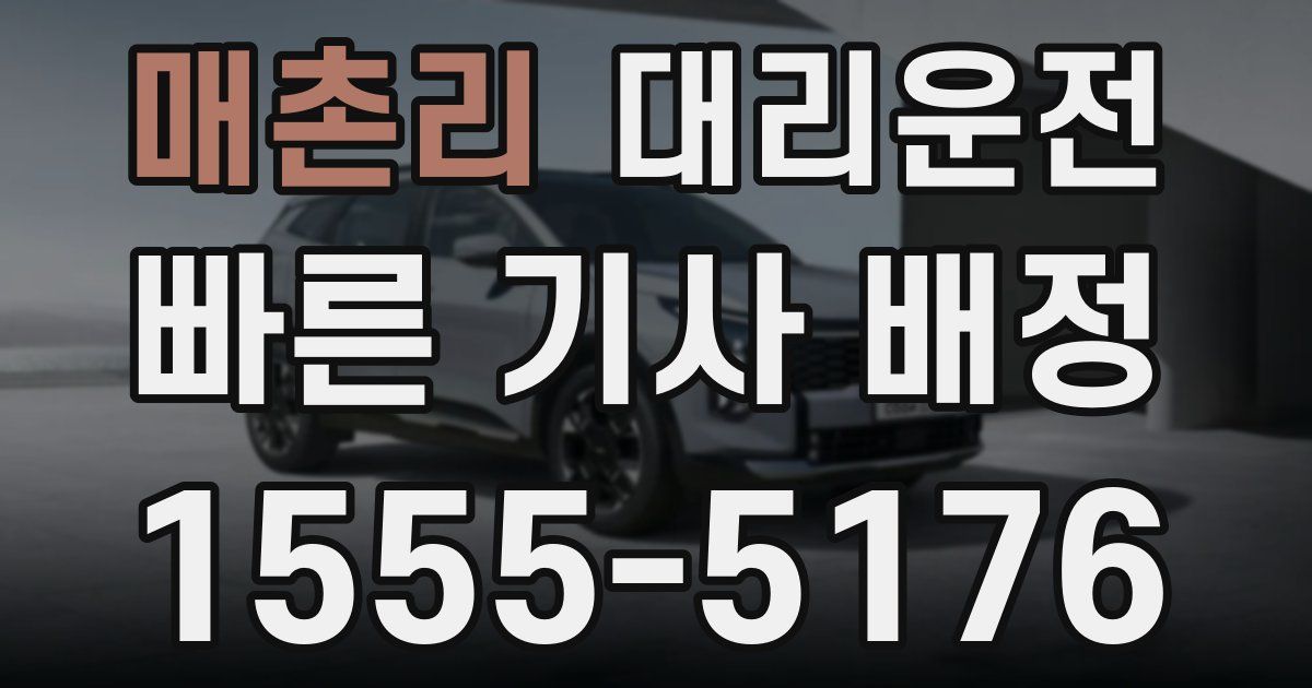 일일대리기사