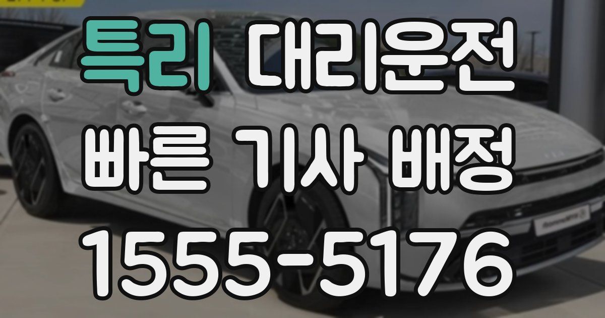 일일대리기사