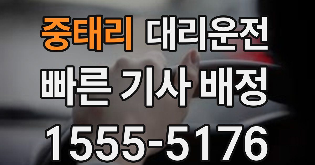 일일대리기사