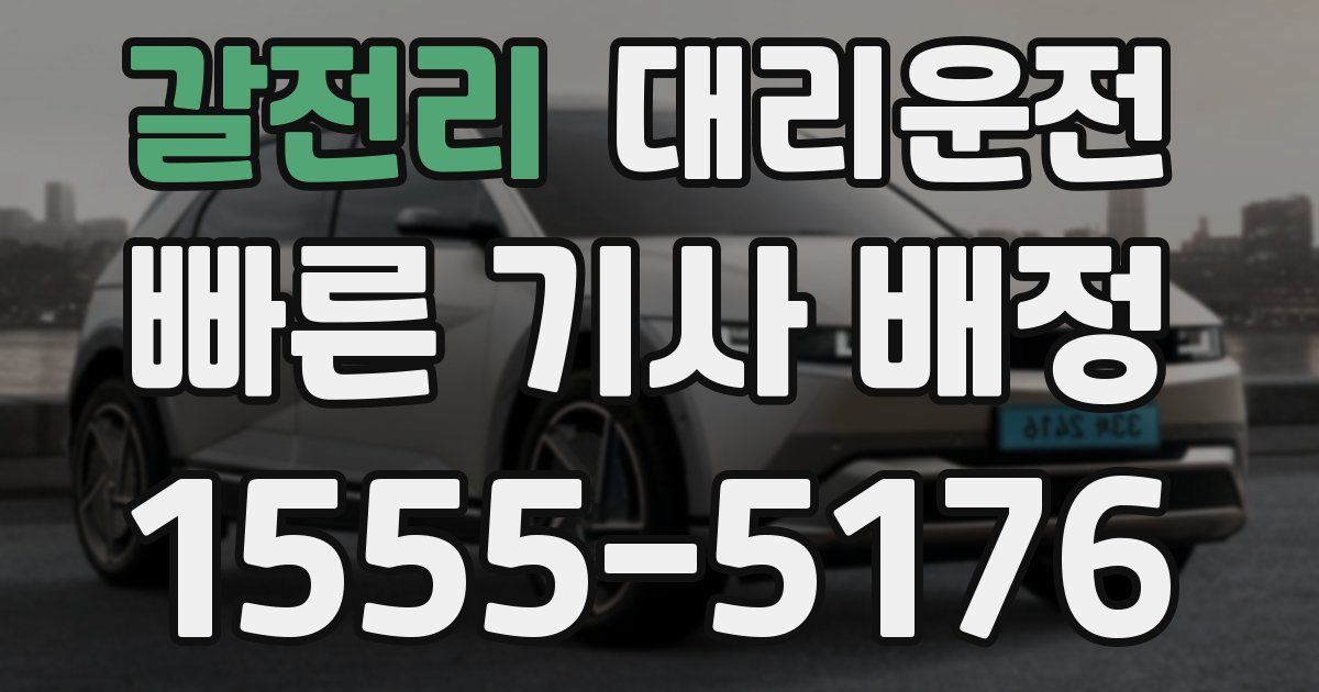 일일대리기사
