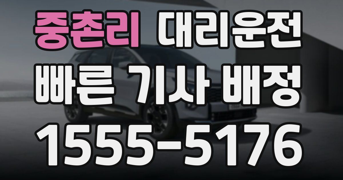 일일대리기사