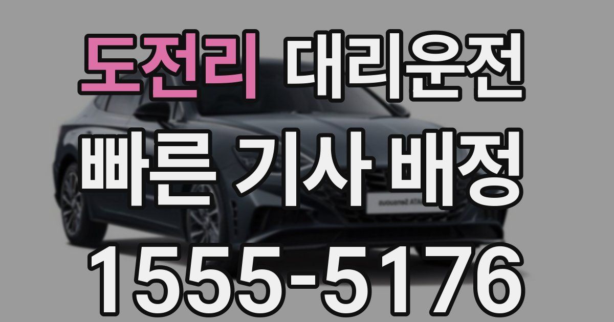 일일대리기사