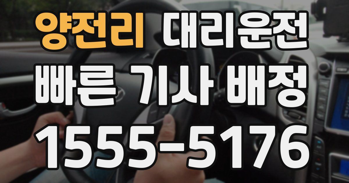 일일대리기사