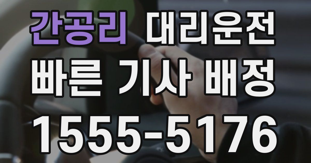 일일대리기사