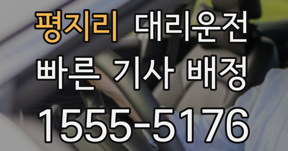 일일대리기사