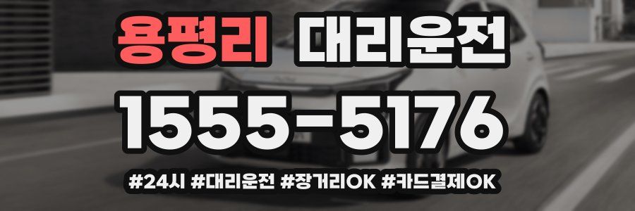 용평리 대리운전