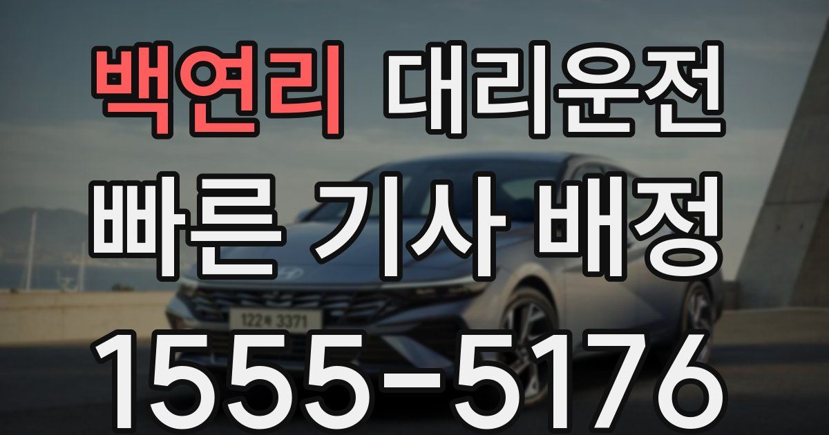 일일대리기사