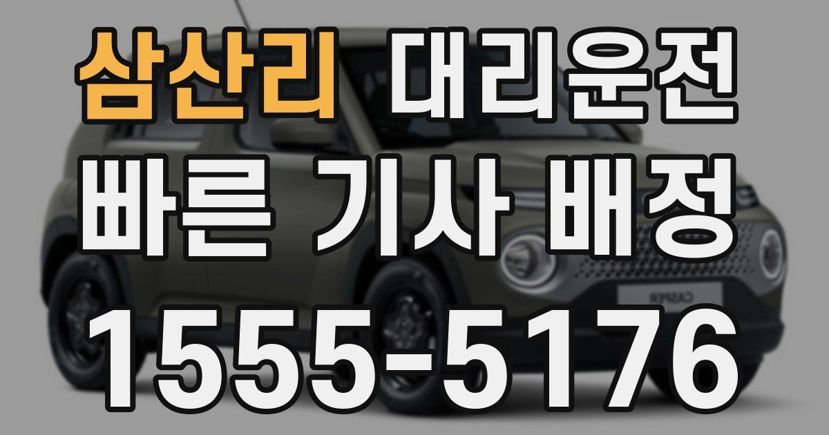 일일대리기사