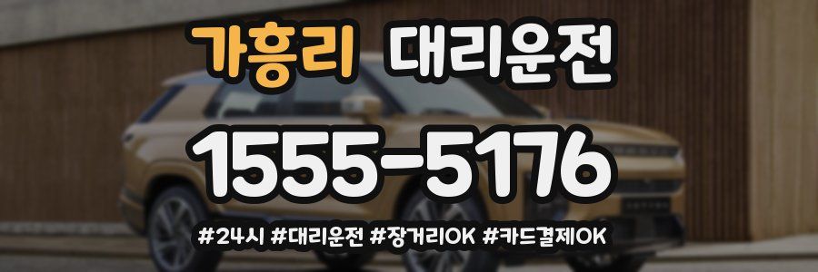 가흥리 대리운전