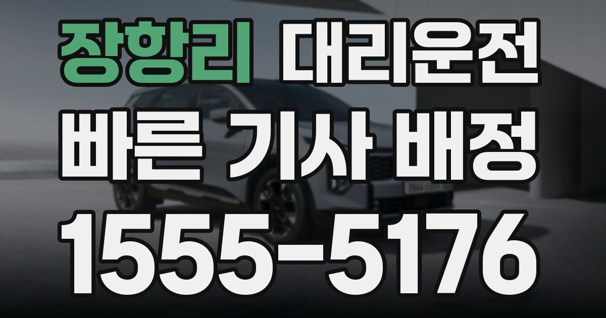 일일대리기사