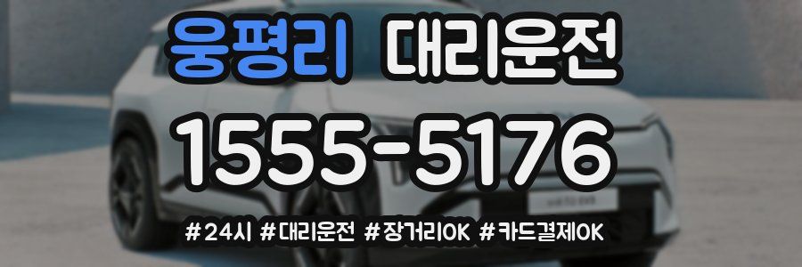 웅평리 대리운전