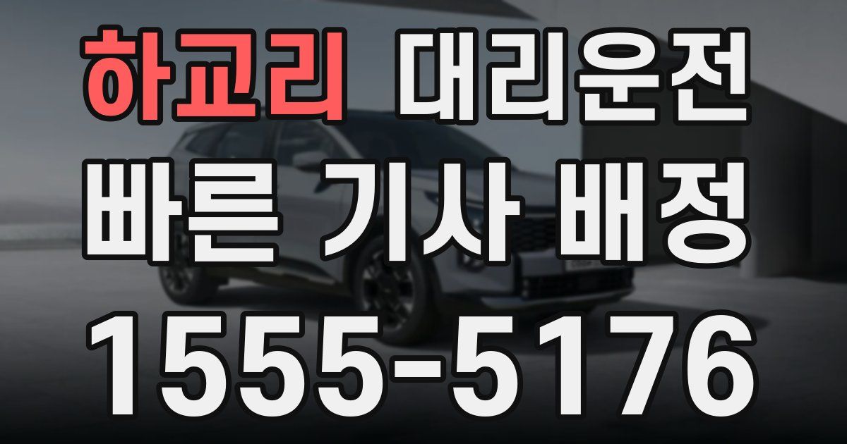 일일대리기사