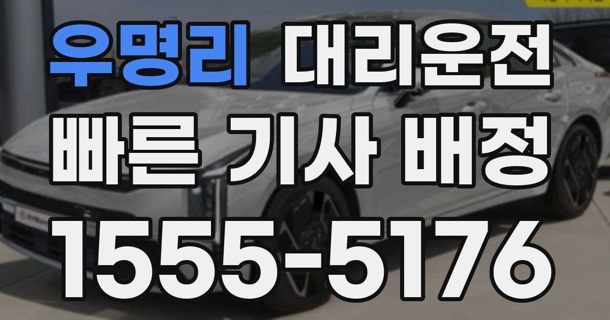 일일대리기사