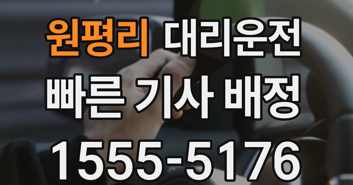 일일대리기사
