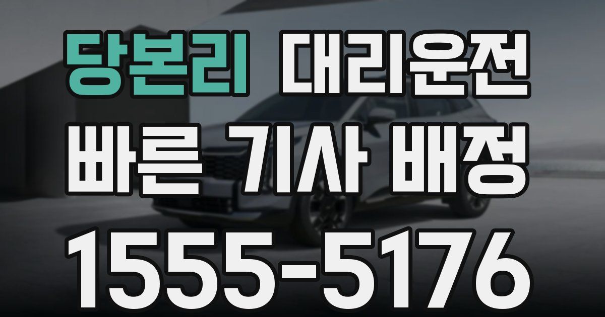 일일대리기사