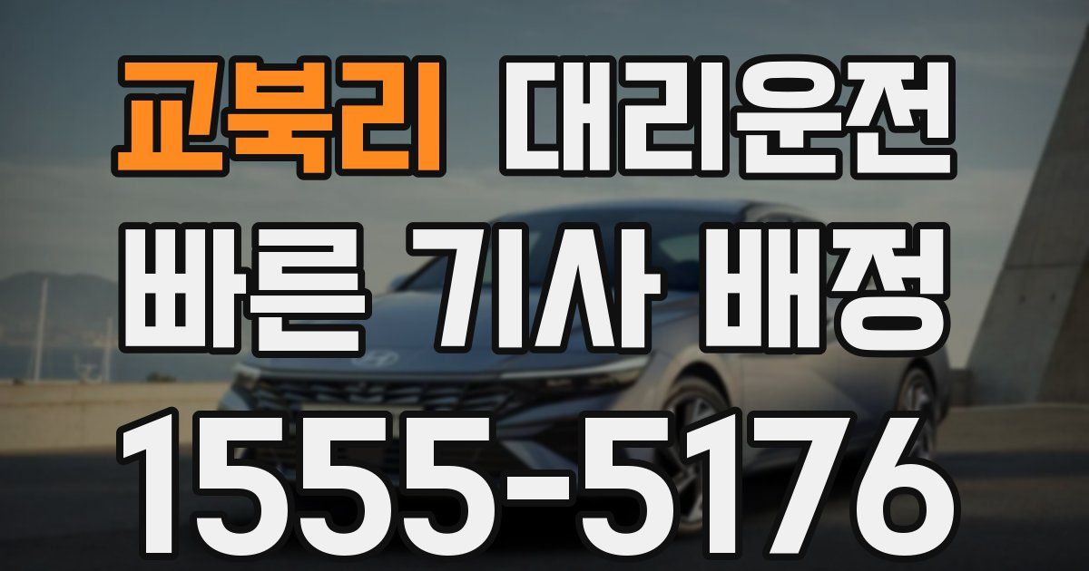 일일대리기사