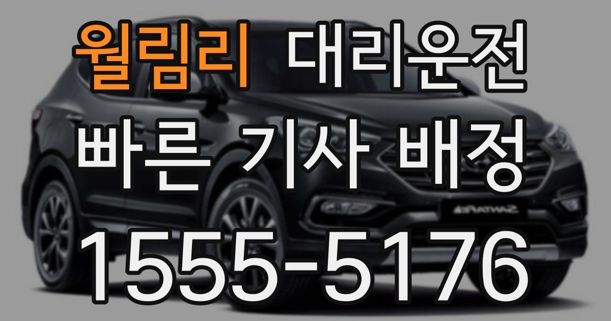 일일대리기사