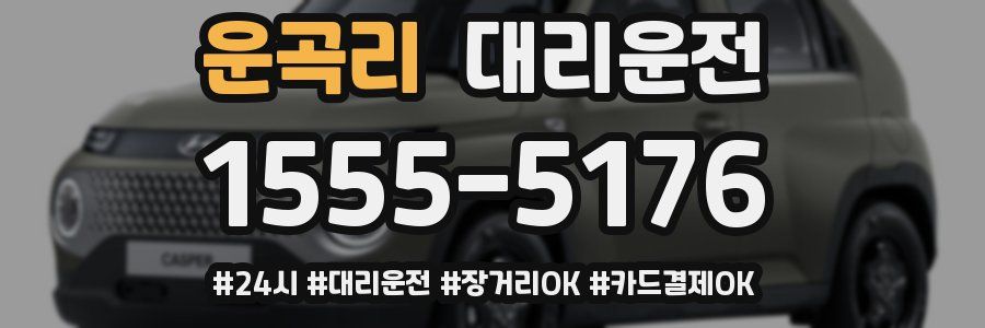 운곡리 대리운전