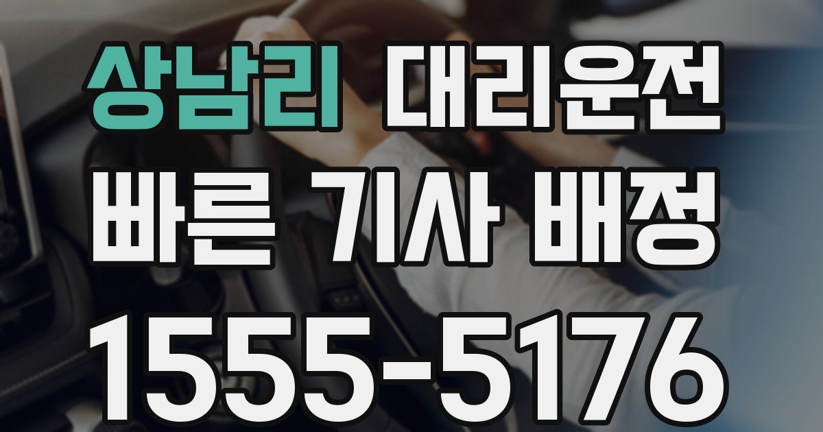 일일대리기사