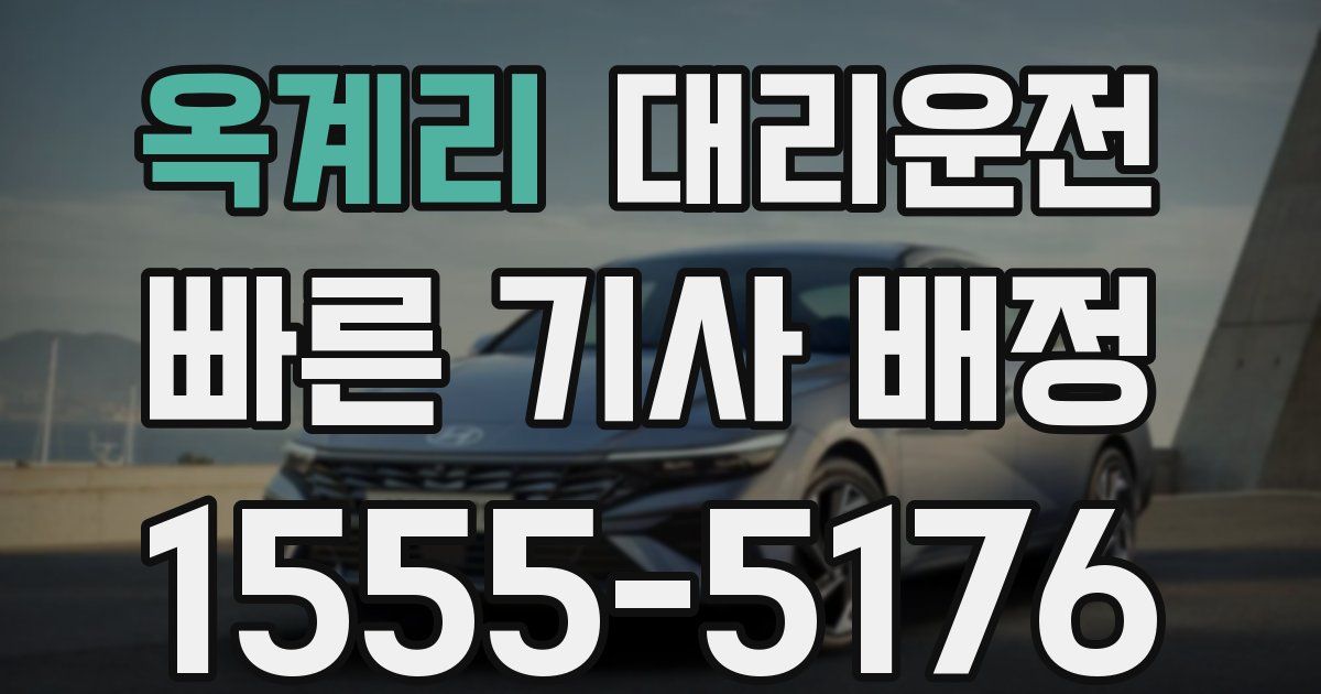 일일대리기사