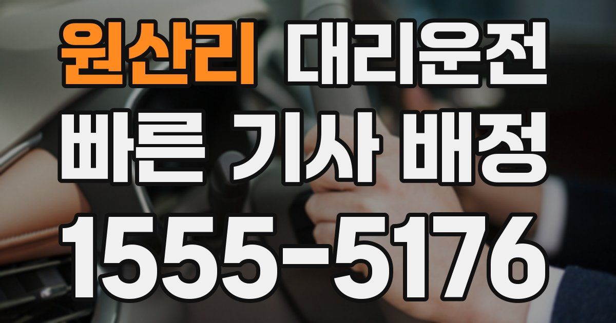 일일대리기사